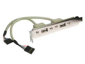 USB 2.0 Twin Plate With 5 Pin Headers