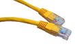 0.25M CAT6 UTP PVC Inj Moulded Cable Yellow