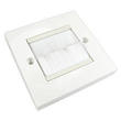 Single Brush Plate White Faceplate with White Brush